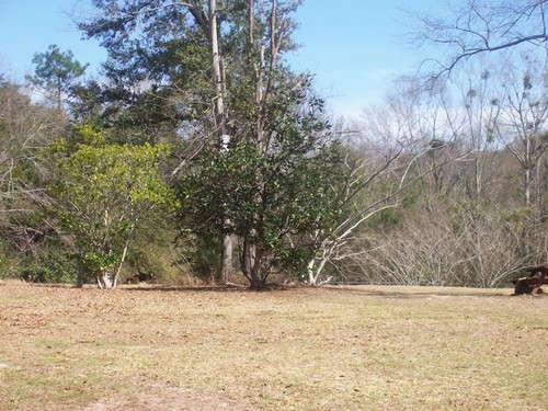 2286 Schillinger Rd N, AL 36575, USA